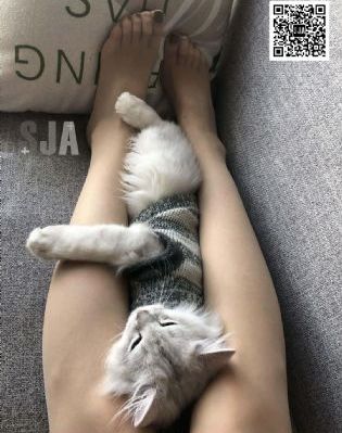 老师在线观看_在线影院观看